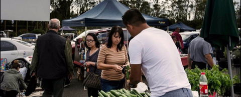 Blacktown Markets - St Kilda Accommodation 0