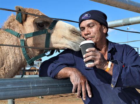Boulia Camel Races - St Kilda Accommodation 2