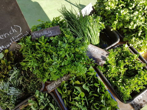 Carlton Farmers' Market - St Kilda Accommodation 2