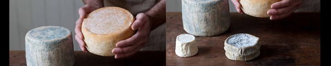 Cheese Making Basics Class - St Kilda Accommodation 0