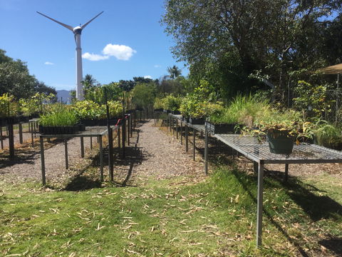 Conservation Volunteers Australia Townsville - Ocean View Nursery - St Kilda Accommodation 0