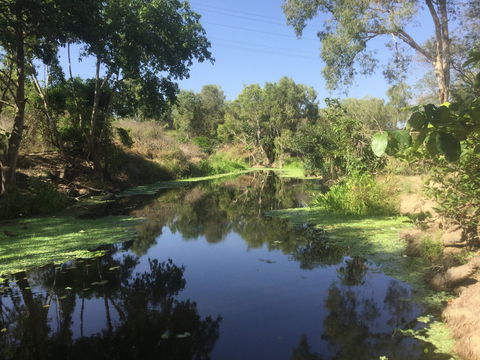 Conservation Volunteers Australia Townsville - Creekwatch - St Kilda Accommodation 0