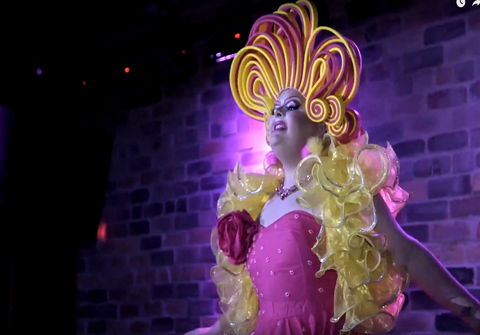 Dragalicious At The Avenue - St Kilda Accommodation 0