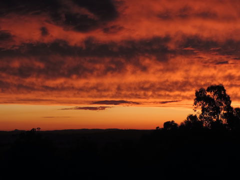Father's Day At Cottontail Wines - St Kilda Accommodation 0