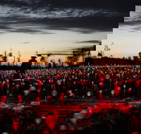 Field of Light Uluru - St Kilda Accommodation