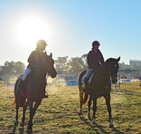 Gunnedah Showjumping Festival - St Kilda Accommodation