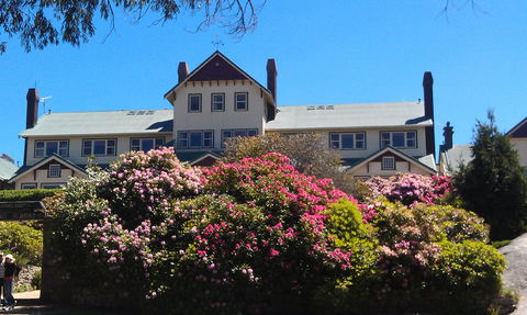 Hedonistic Hiking's Mount Buffalo Hike And Picnic - St Kilda Accommodation 1