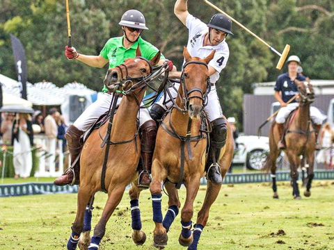 Land Rover Polo In The City - St Kilda Accommodation 0