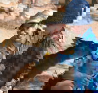 Mums and Cubs And Dads too - St Kilda Accommodation