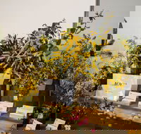 Pomonal Native Flower Show