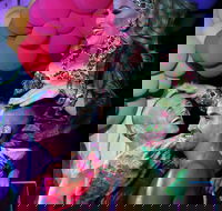 Port Douglas Hot and Steamy Festival - St Kilda Accommodation