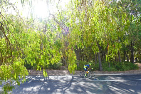 SunSmart FunMan Triathlon - St Kilda Accommodation 0