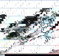 The Pink Floyd Experience - St Kilda Accommodation