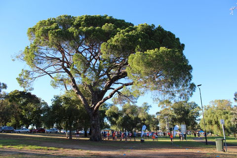 Wagga Parkrun - St Kilda Accommodation 1