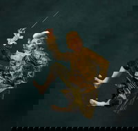 Wolfgangs Magical Musical Circus - St Kilda Accommodation