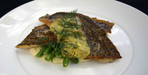 Aquarius Seafood Restaurant - St Kilda Accommodation 2