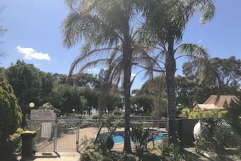 Nagambie Motor Inn - St Kilda Accommodation 0