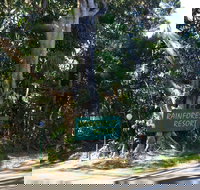 Byron Bay Rainforest Resort - St Kilda Accommodation