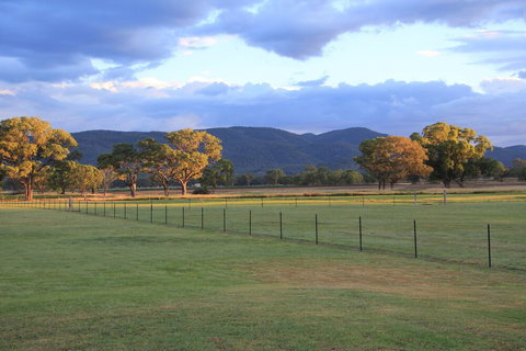 Radiance On Lyra - St Kilda Accommodation 1