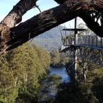 Tahune Air Walk Lodge - St Kilda Accommodation 0