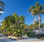 Mollymook Caravan Park - St Kilda Accommodation