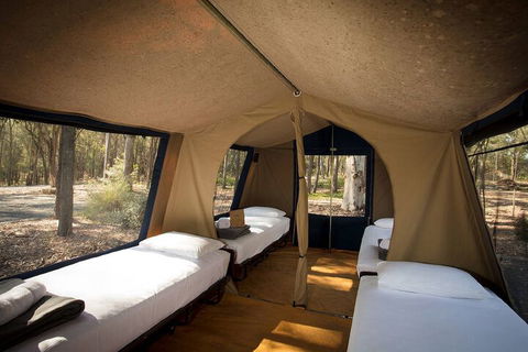 Paradise Country Farmstay - St Kilda Accommodation 6