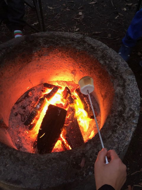 WA Wilderness - St Kilda Accommodation 1