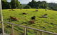 Seasons Of Maleny B&B - thumb 2