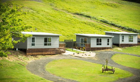 Sunny Gum - St Kilda Accommodation 6