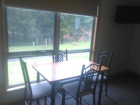 Sunny Gum - St Kilda Accommodation 5