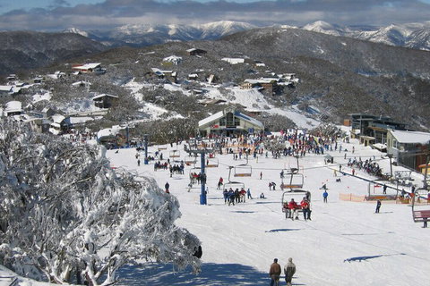 Snowflake 13 - St Kilda Accommodation 6