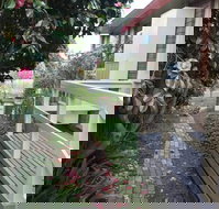 The Glen Family House