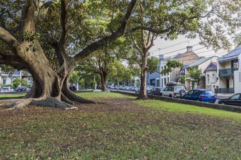 A Walk To Syd Uni & RPA Hospital - St Kilda Accommodation 1