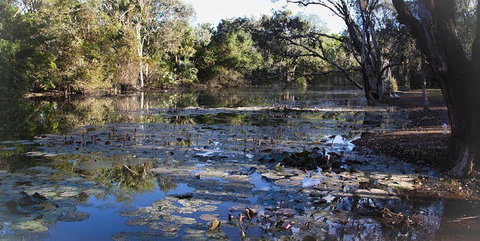 Springvale Homestead - St Kilda Accommodation 1