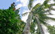 Calypso Inn Backpackers Resort Hostel - thumb 1