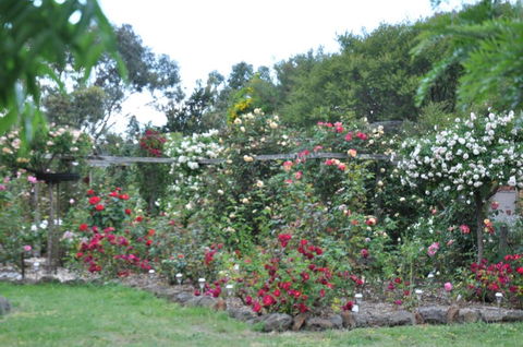 Fairy Wren Cottage Country To Coast Retreat - St Kilda Accommodation 6