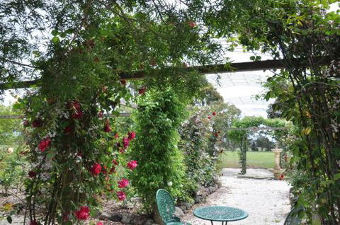 Fairy Wren Cottage Country To Coast Retreat - St Kilda Accommodation 1