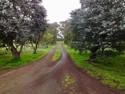 Fairy Wren Cottage Country To Coast Retreat - St Kilda Accommodation 4
