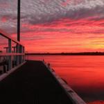 Fairy Wren Cottage Country To Coast Retreat - St Kilda Accommodation 0