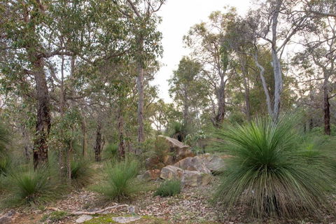 A Hidden Bush Delight - St Kilda Accommodation 6