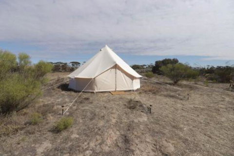 Starfields Luxury Camping - St Kilda Accommodation 5