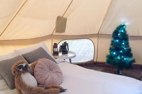 Starfields Luxury Camping - St Kilda Accommodation 3