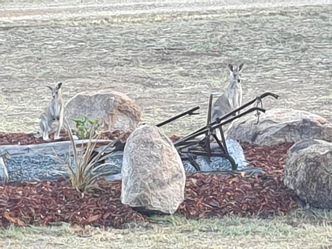 R & R On The Ravine - St Kilda Accommodation 5