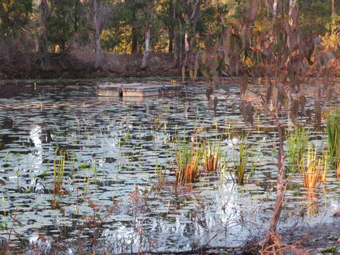 The Summit 1770 - St Kilda Accommodation 3