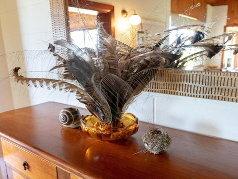 Captains Lookout Elevated Ocean Views Rural Stay - St Kilda Accommodation 4