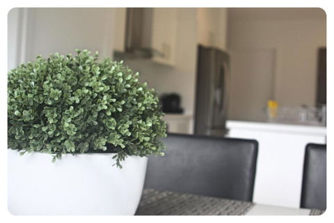 The Shae Luka Private Apartment - St Kilda Accommodation 5