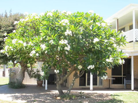 Kalbarri Riverfront Unit - St Kilda Accommodation 3