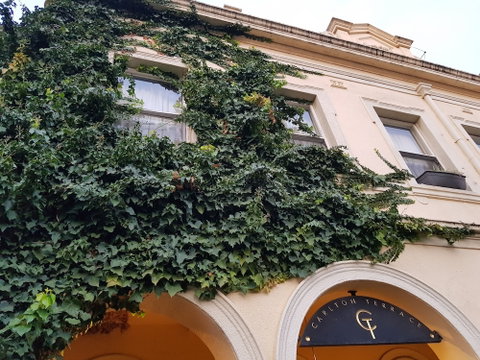 Carlton Terrace - St Kilda Accommodation 1