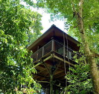 Cairns Rainforest Retreat - St Kilda Accommodation