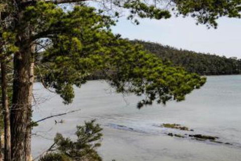 Rockpool Cottage - St Kilda Accommodation 4